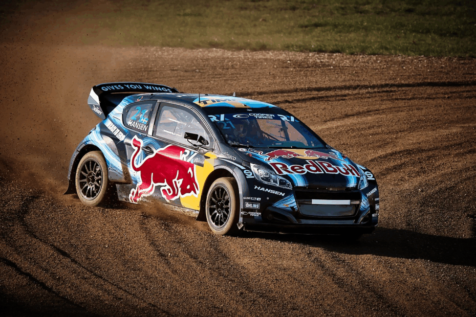 Fortune de Sébastien Loeb